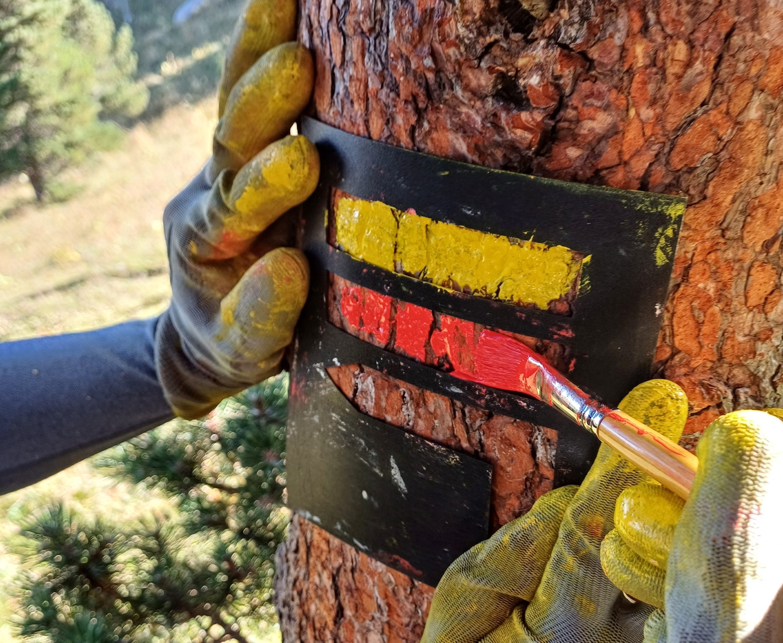 À propos du Tour de l’Obiou - Mise en place de signalétique